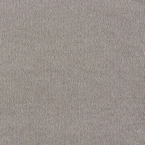 taupe carpet