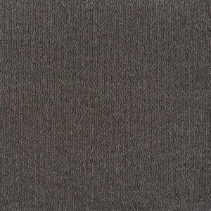 Darg Grey Carpet